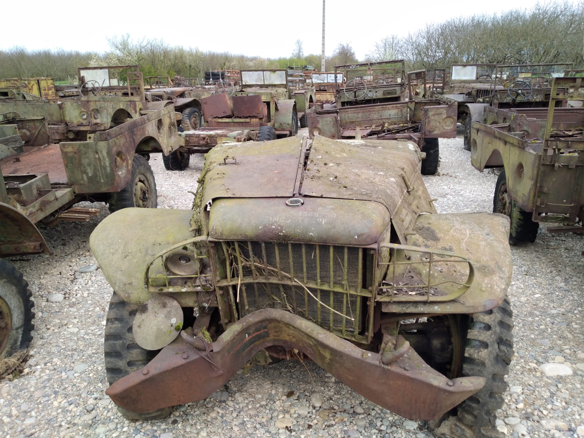 DODGE WC 51